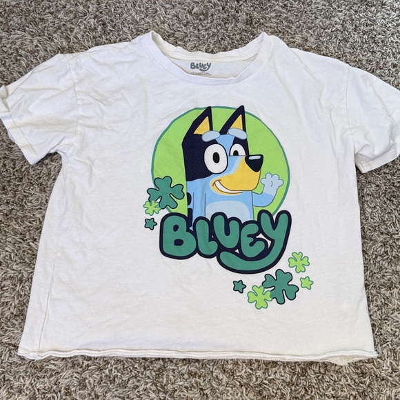 Bluey Pajama Bundles Blue Orange size Medium - Picture 4 of 8